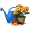 Imagine reprezentativa pentru categoria de produse : Gradina